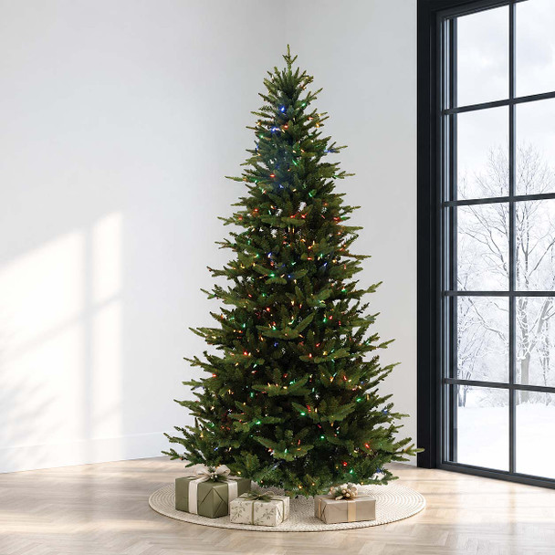 9' Sierra Mountain Spruce Tree - Multi 