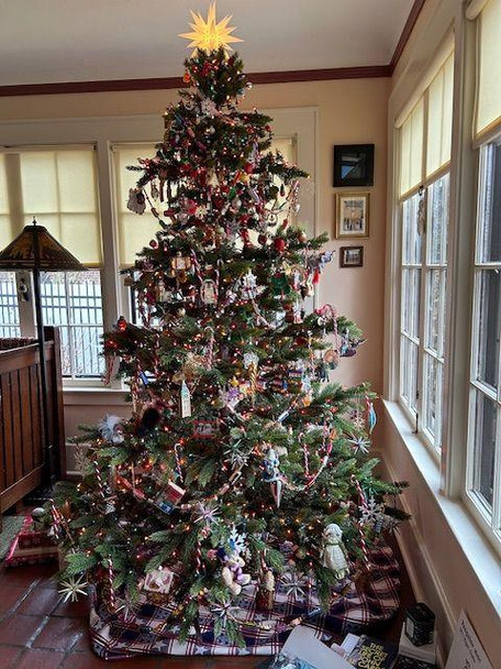 New Haven Fir 