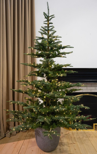 5' Scandinavian Fir Tree w/PP - Clear Micro LED 
