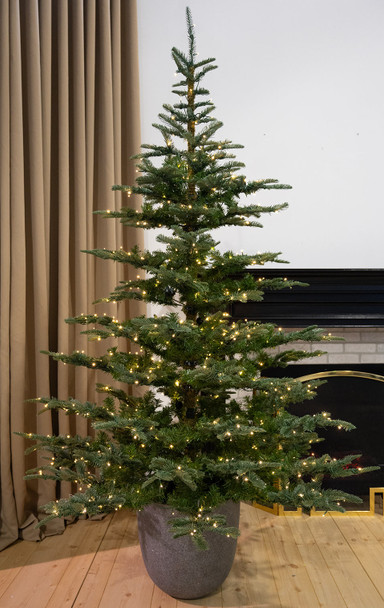 7.5' Scandinavian Fir Tree w/PP - Clear Micro LED