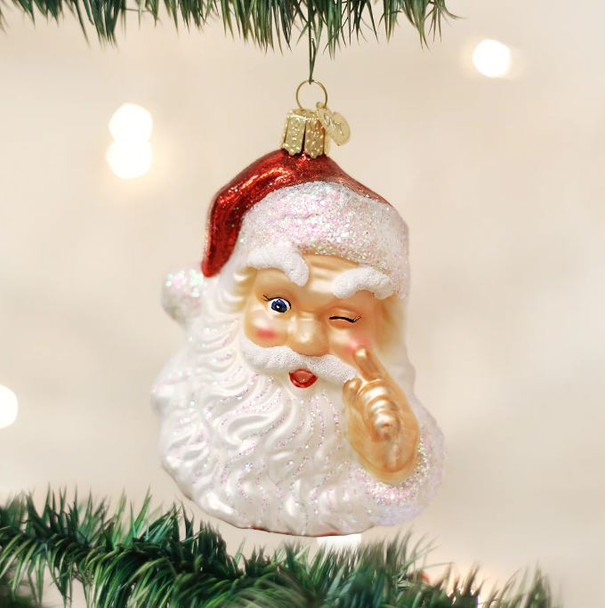 Night-Before-Christmas-Santa-Ornament-alt-004.JPG