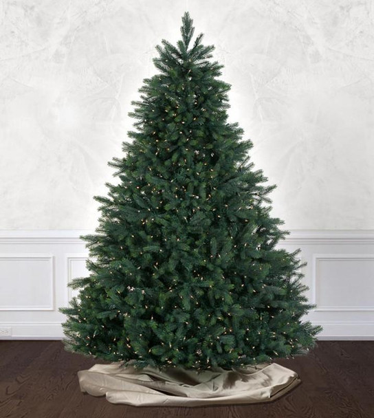 Burberry Fir