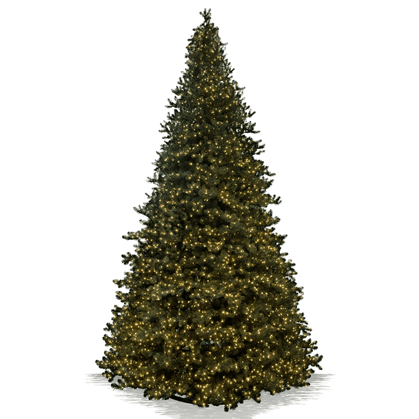 20' Slim Tower Tree - Clear LED 