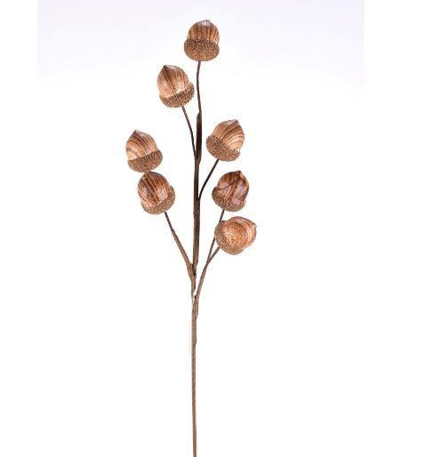 ACORN SPRAY 25", NATURAL 