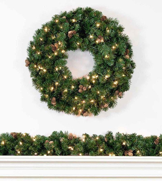 24" Scottsdale Spruce Wreath - Clear LED 