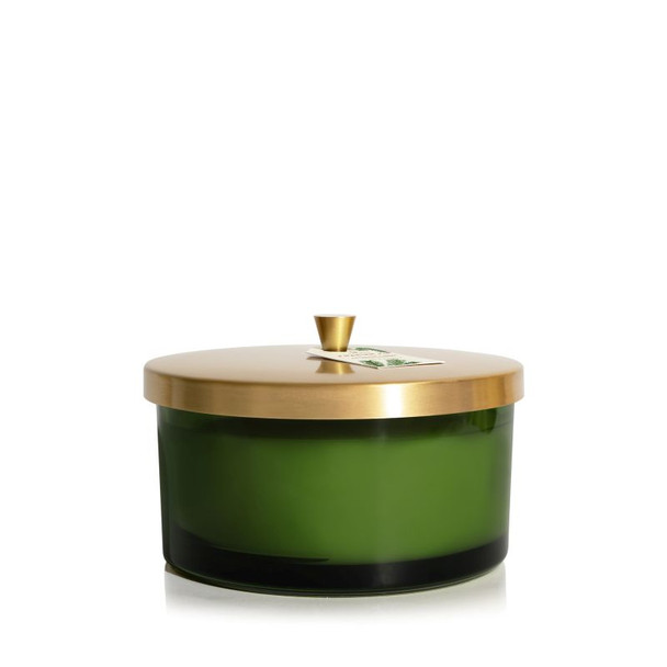 Frasier Fir Green 4-Wick Candle, 21oz