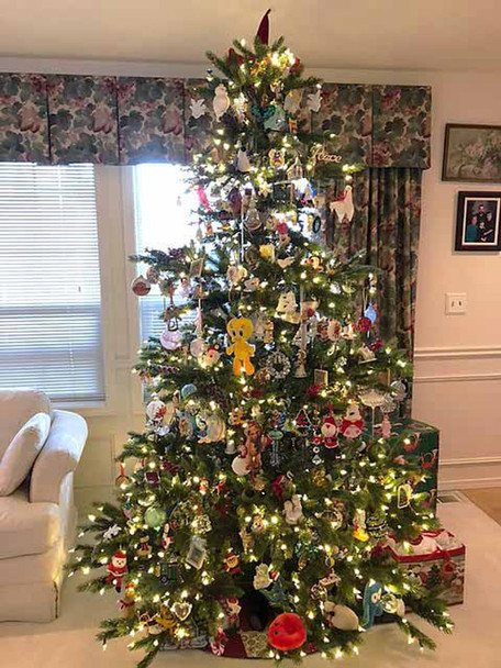 10' New Haven Fir Tree-ColorChange 3mm LED
