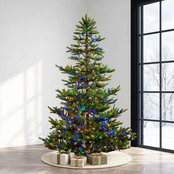 6.5' New Haven Fir Tree-ColorChange 3mm LED