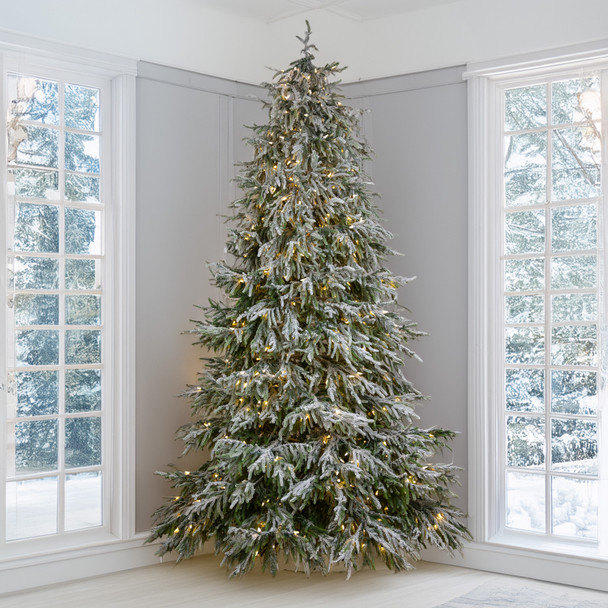 7.5' Frosted Norfolk Pine Tree - CLEAR 5mm LED
