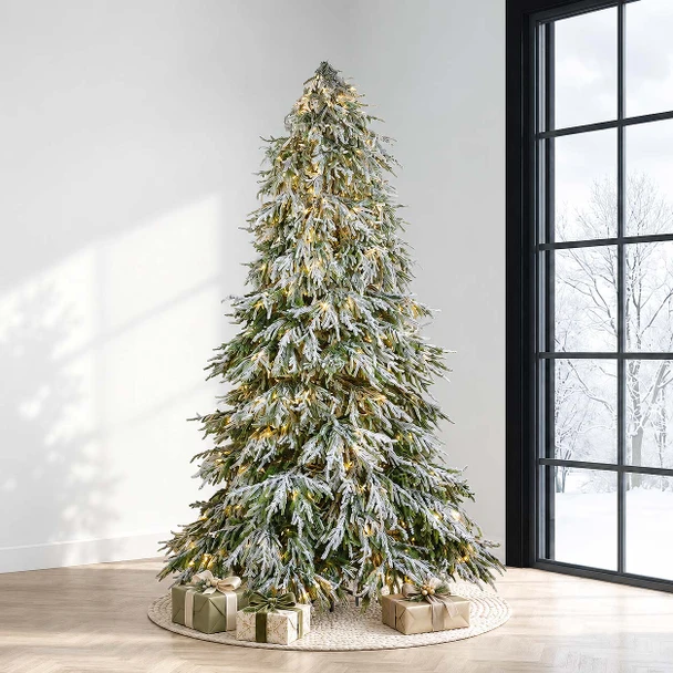 7.5' Frosted Norfolk Pine Tree - CLEAR 5mm LED