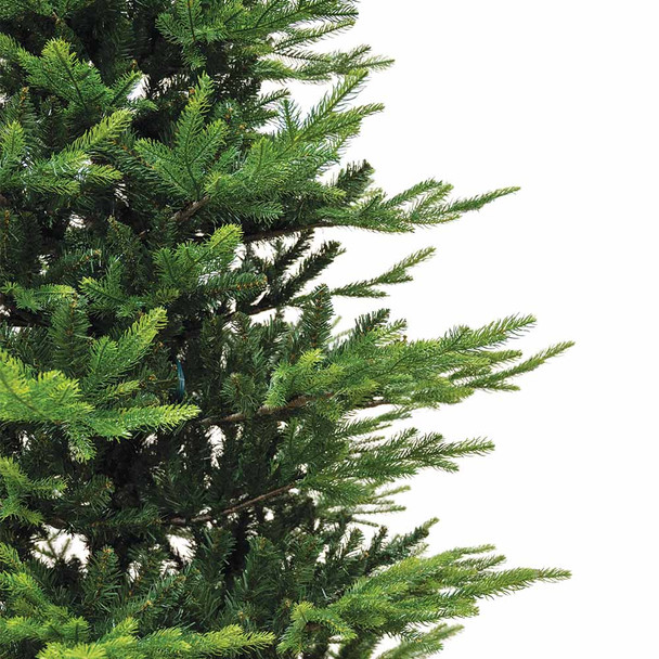 4.5' Western Balsam Tree - ColorChange 3mm LED