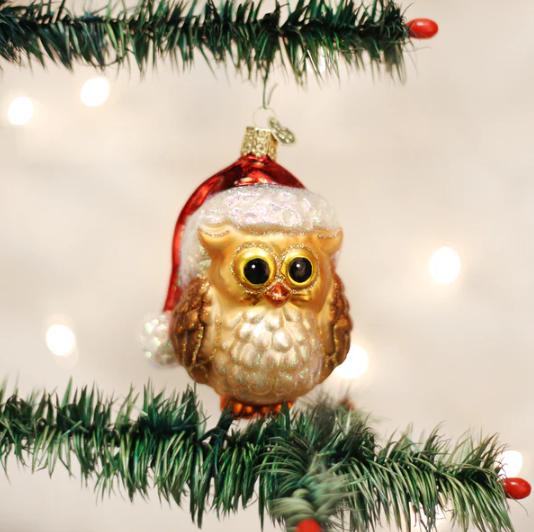 Old World Santa Owl Glass Christmas Ornament