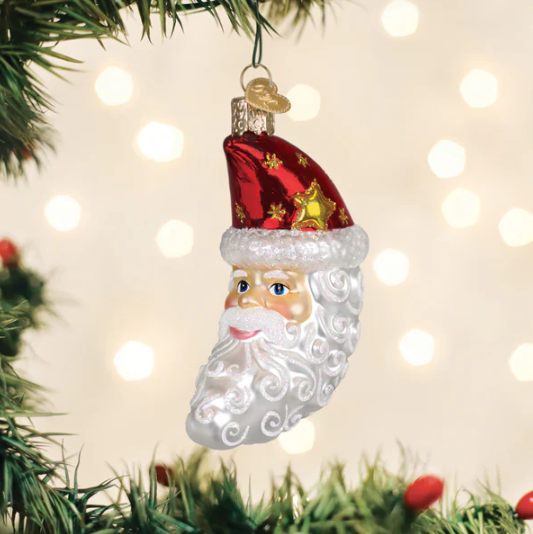 Old World Santa Moon Face Glass Christmas Ornament