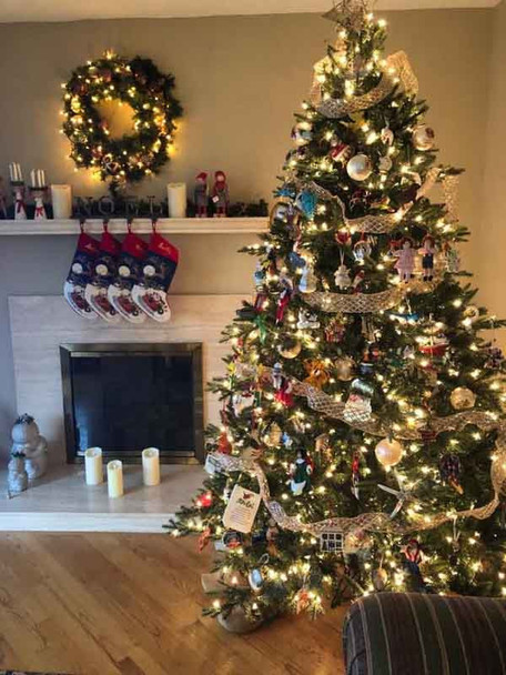 9' Deluxe Geneva Fir Tree-ColorChange 3mm LED PowerPole
