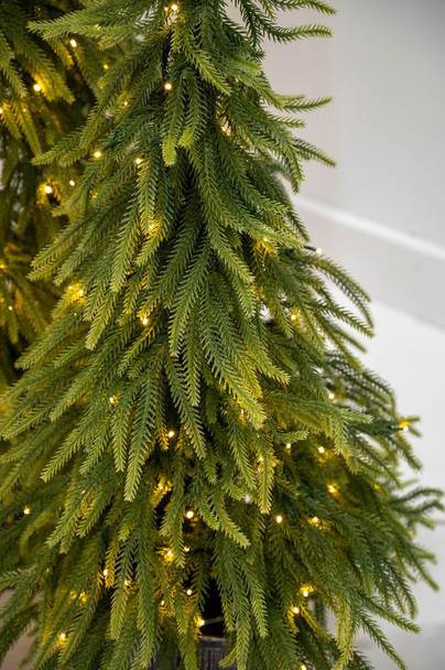3' Downswept Norfolk Pine Potted Tree-CLEAR 3mm LED