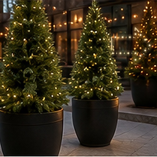 Commercial potted Christmas trees with an illuminated directional arrow