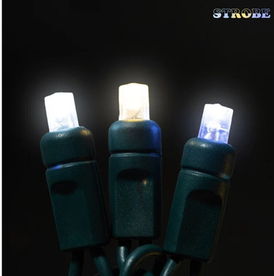 Pure Led Light Set 50 Count LED Light Set Champagne, WW and Pure White | Treetime