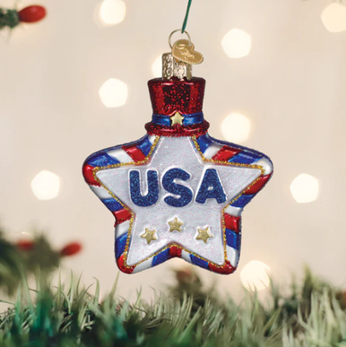 Old World USA Star Glass Christmas Ornament - Treetime