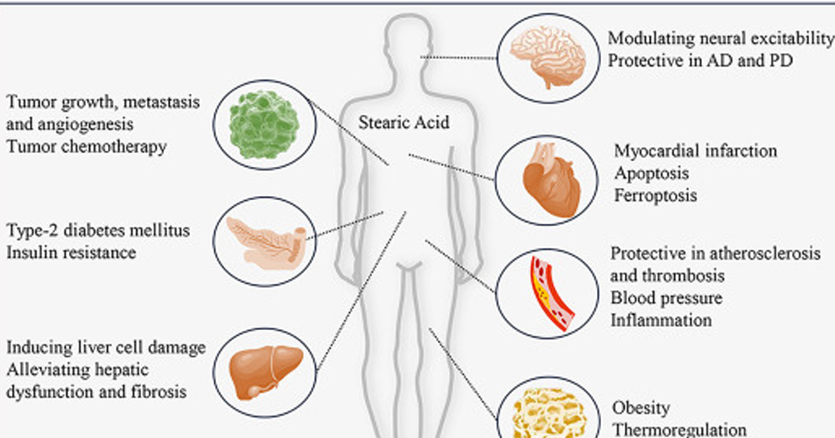 Eat Fat to Burn Fat: Stearic Acid in Tallow