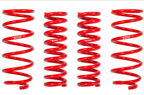 PRO-LIFT-KIT Springs (Front & Rear Springs) 2019+ TOYOTA 4Runner TRD Pro 4WD