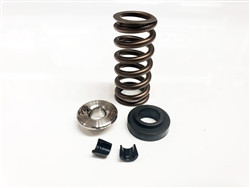 Ferrea Spring Kit for J Series Engines