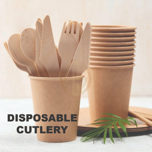 Disposable Cutlery