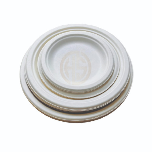 Bagasse Plate Round (150mm/6") White (TP1)