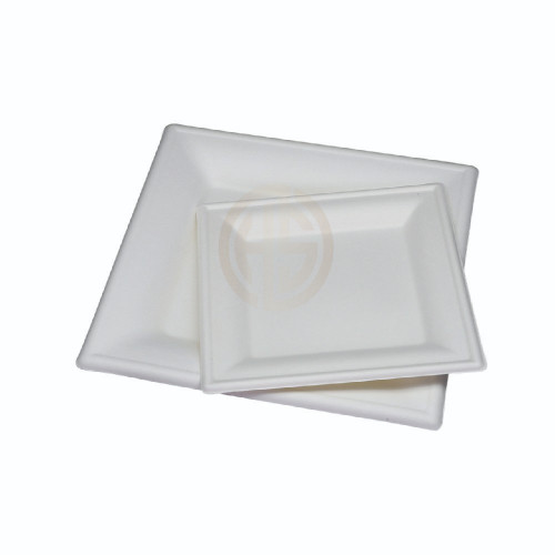 Bagasse Plate Square (200mm/8") White