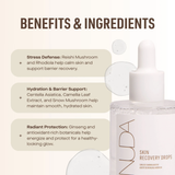 Nuda Skin Recovery Drops