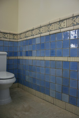 Handmade tiles bathroom  Pez fosil