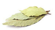 More Than Just a Leaf!
