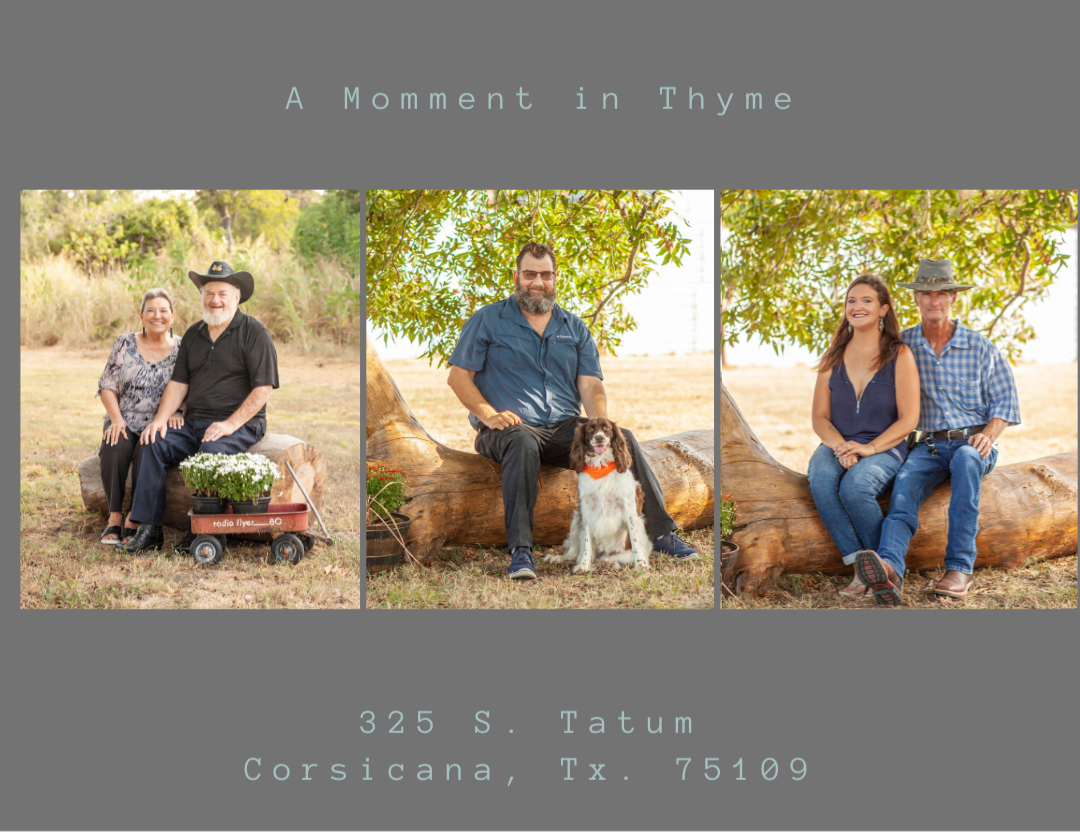 untitled-design-no-proof.png untitled-design-no-proof.png