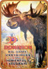 1922 Dominion Big Game Cartridges - Metal Sign
