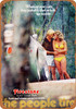 1972 Firestone Tires - Metal Sign