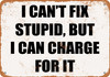 I Can't Fix Stupid, But I Can Charge For It - Metal Sign