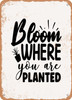 Bloom Where You Are Planted  - Metal Sign
