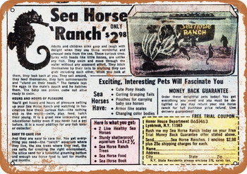 1970 Sea Horse Ranch Only $2.98 - Metal Sign