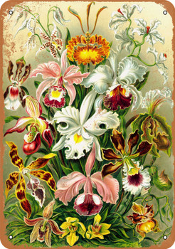 1904 Orchids Bouquet - Metal Sign
