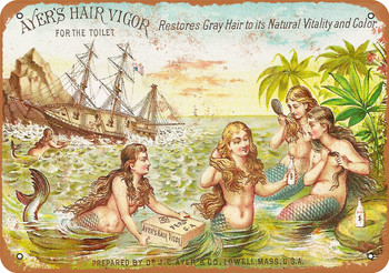 1886 Ayer's Hair Vigor - Metal Sign