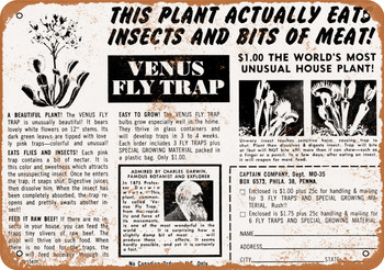 1969 Venus Fly Trap Comic Ad - Metal Sign