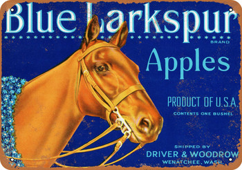 Blue Larkspur Apples - Metal Sign