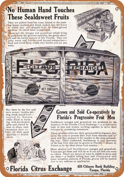 1916 Sealdsweet Fruits from Florida - Metal Sign