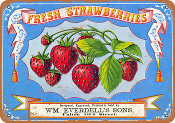 1868 Fresh Strawberries - Metal Sign