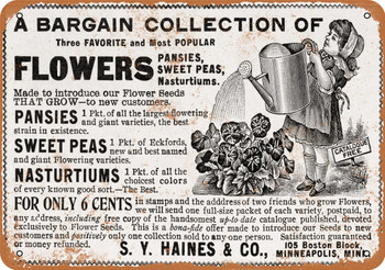 1900 Haines Flower Seeds - Metal Sign