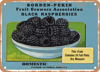 Borden-Pekin Brand Indiana Black Raspberries - Rusty Look Metal Sign