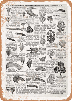 1902 Sears Catalog Flowers Page 1094 - Rusty Look Metal Sign