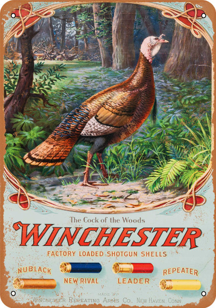 1905 Winchester Shotgun Shells - Metal Sign