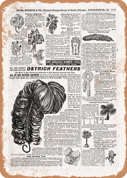 1902 Sears Catalog Feathers Page 1095 - Rusty Look Metal Sign