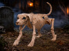 realistic beagle dog skeleton halloween decoration plastic