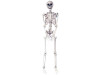Realistic Halloween skeleton decoration for haunted houses